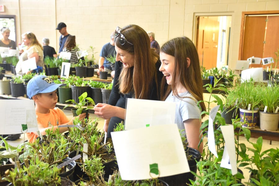 Guelph-Wellington Master Gardeners host plant sale post image