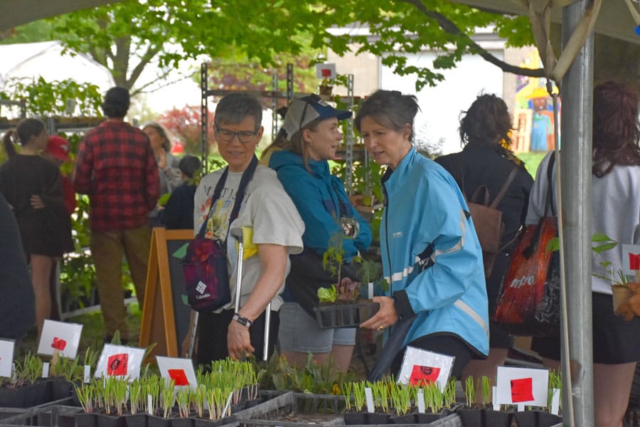 Gardeners preparing plots at St. Ignatius Farm post image