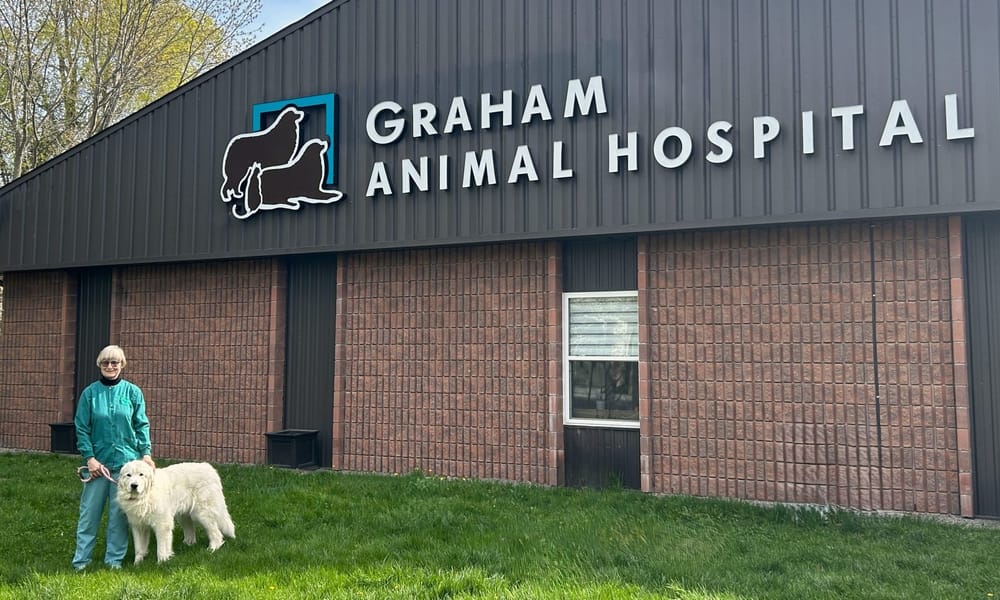 Graham Animal Hospital celebrating 30 years of veterinary service post image