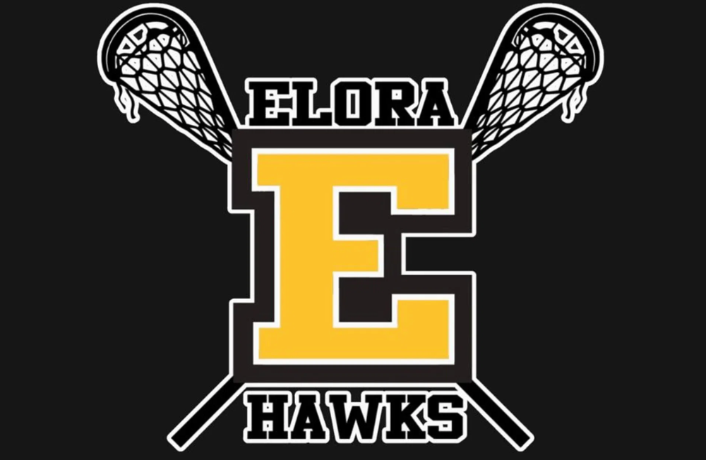 Elora Hawks hope to move up to Junior A league post image
