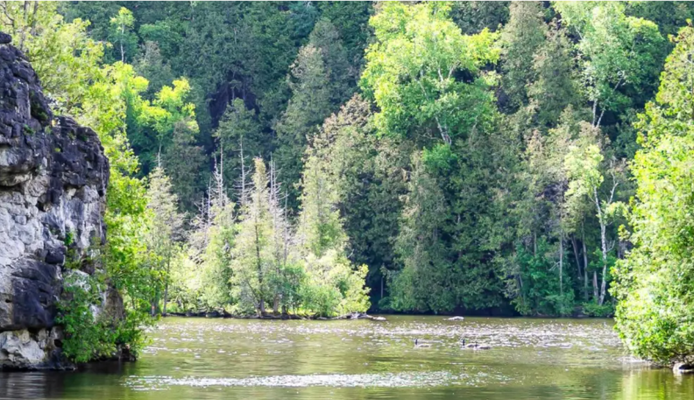 Three people rescued after falling into water at conservation area post image