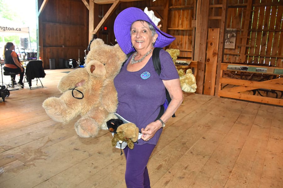 Strawberry festival and teddy bear caper at the Wellington County Museum and Archives post image