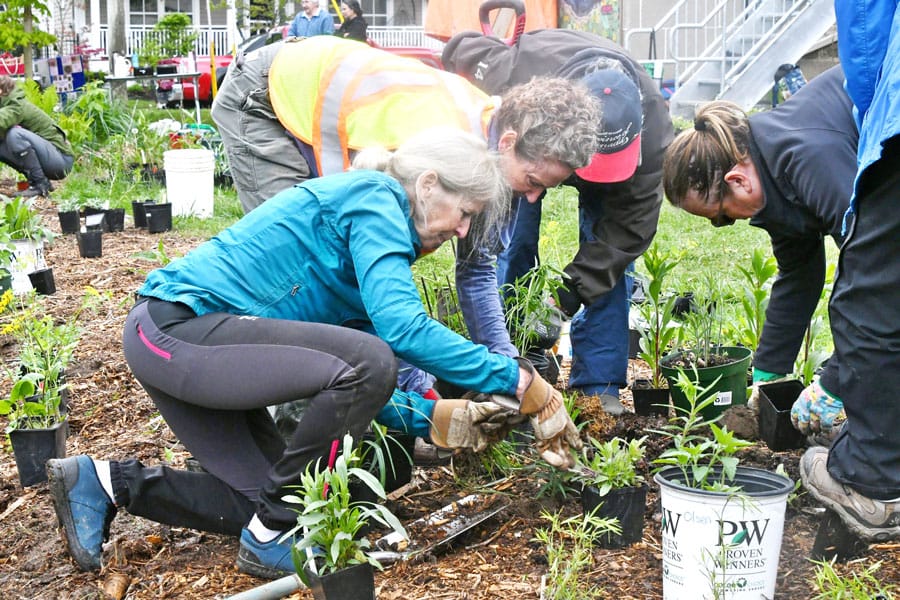 Volunteers help plant pollinator garden at Elora Centre for the Arts post image