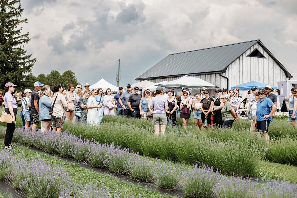 Local lavender festival returns June 28; features workshops, live entertainment, artisan vendors, farm tours post image