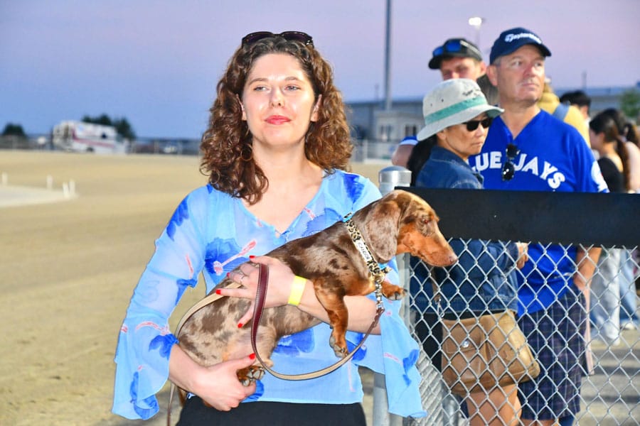 Weiner dog races bring smiles, hot dogs post image