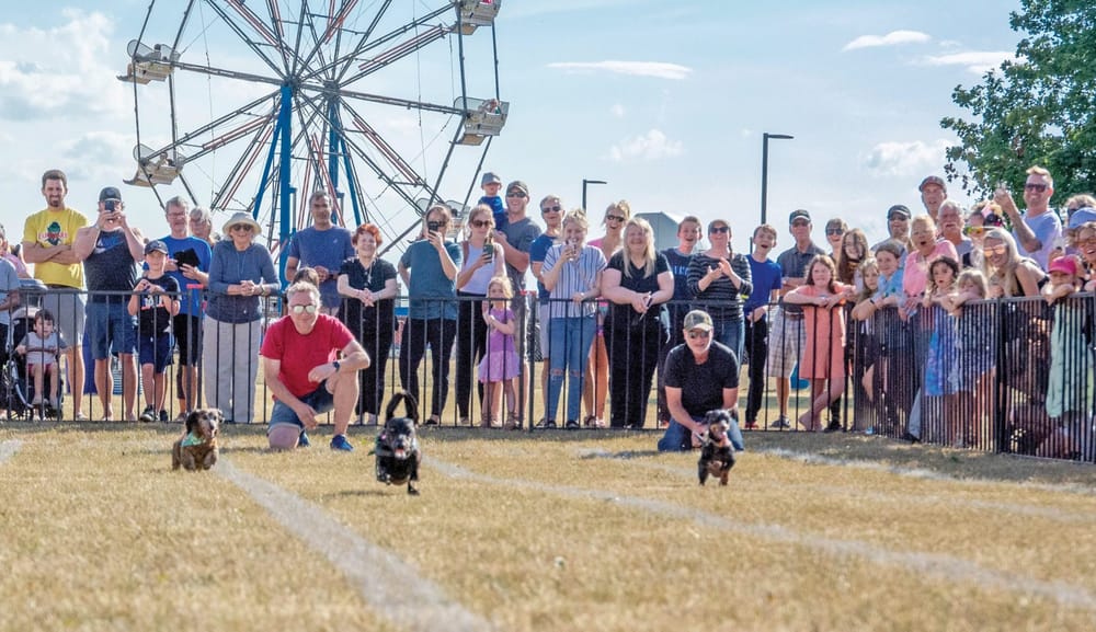 Party in the Park returns to Rockwood post image