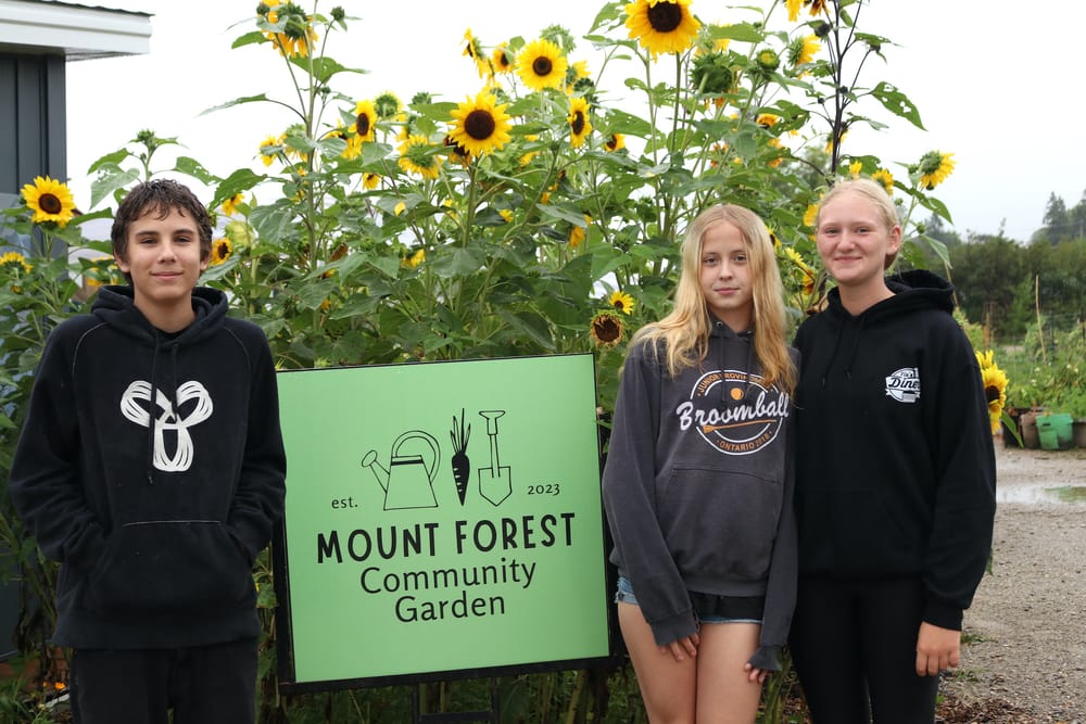 Volunteers celebrate success of Mount Forest Community Garden post image