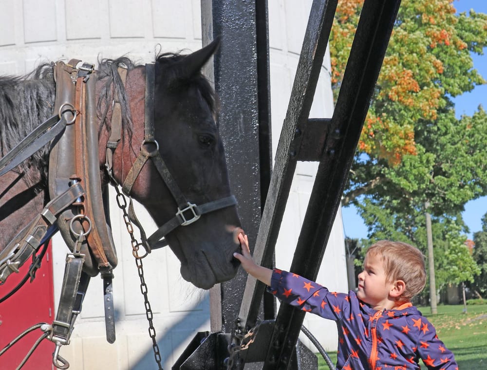 Town hosts Minto Fall Fun Day post image