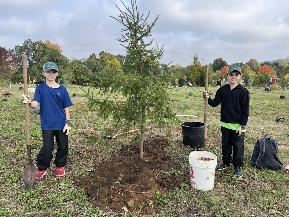 County staff, volunteers plant 850 trees at Valentino Park post image