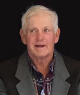 LYONS, David George “Dave” post image