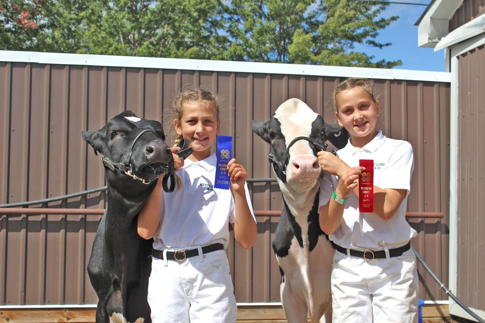Arthur Fall Fair a ‘great’ success: Kaminski post image