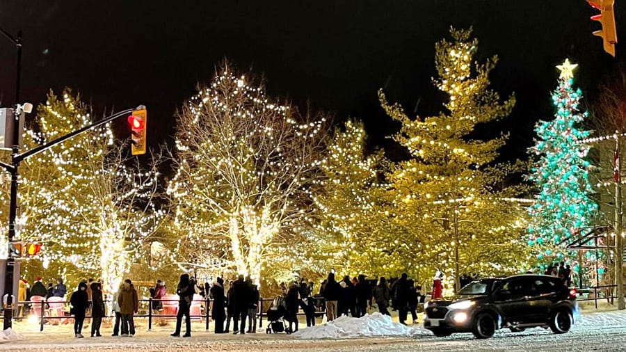 The nightmare before Christmas: how to light the Elora Green Space post image