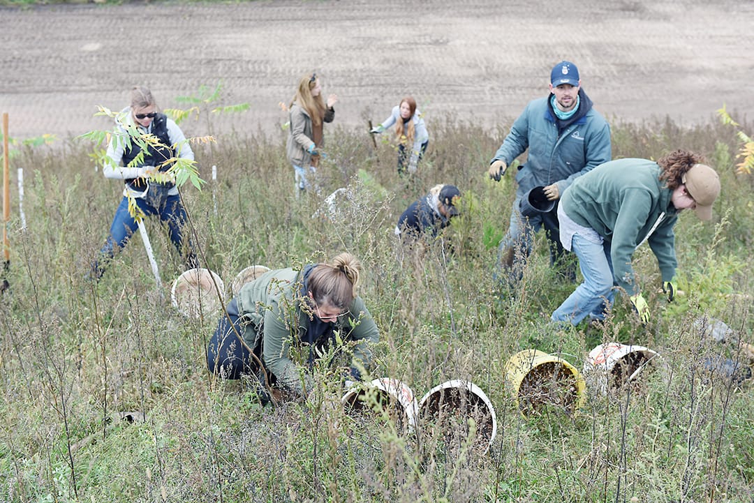 County report: Green Legacy committee  terminated - but program continues to thrive