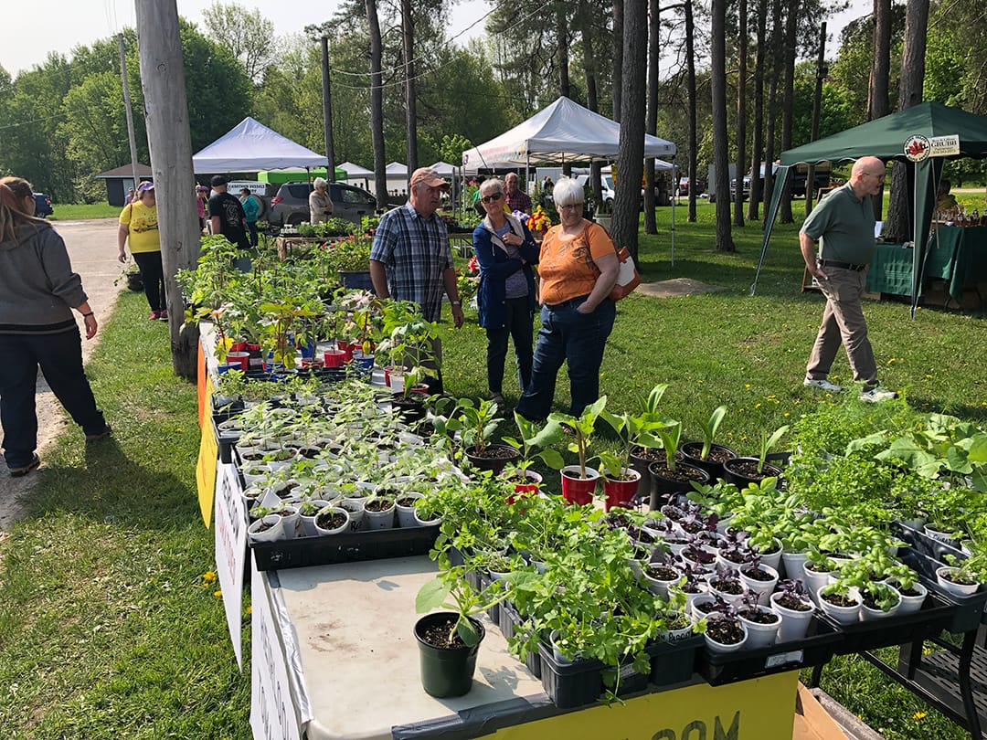 Harriston and District Horticultural Society hosts 18th annual Garden Festival