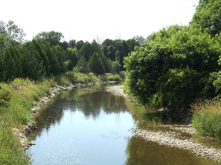 Scenic  summer images from Minto