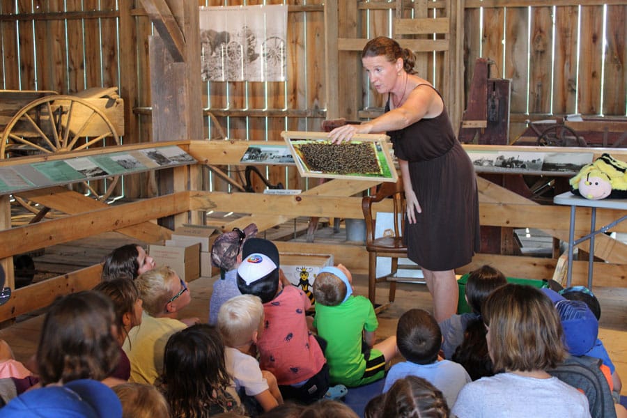 Museum hosting themed family drop-in events this summer