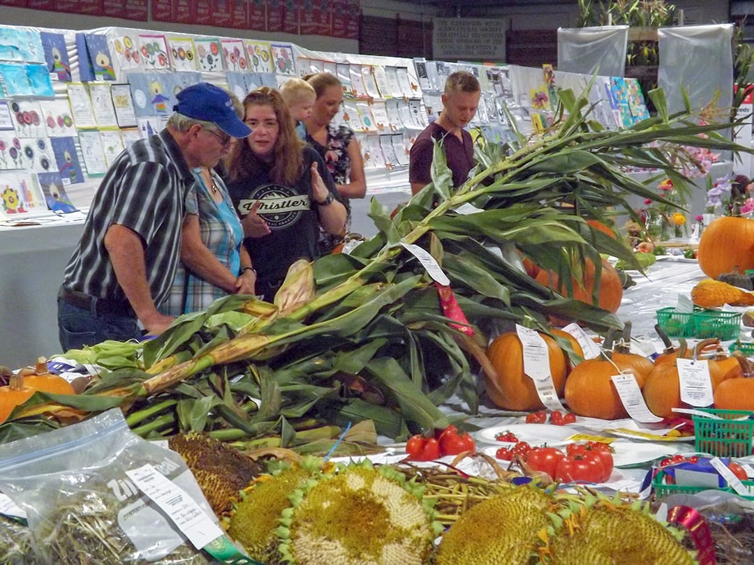 Harriston-Minto fair features reunion pizza party on Sept. 13