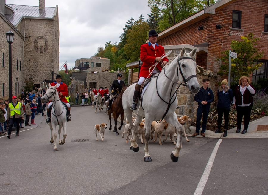 Annual Horse and Hound Parade took over downtown Elora