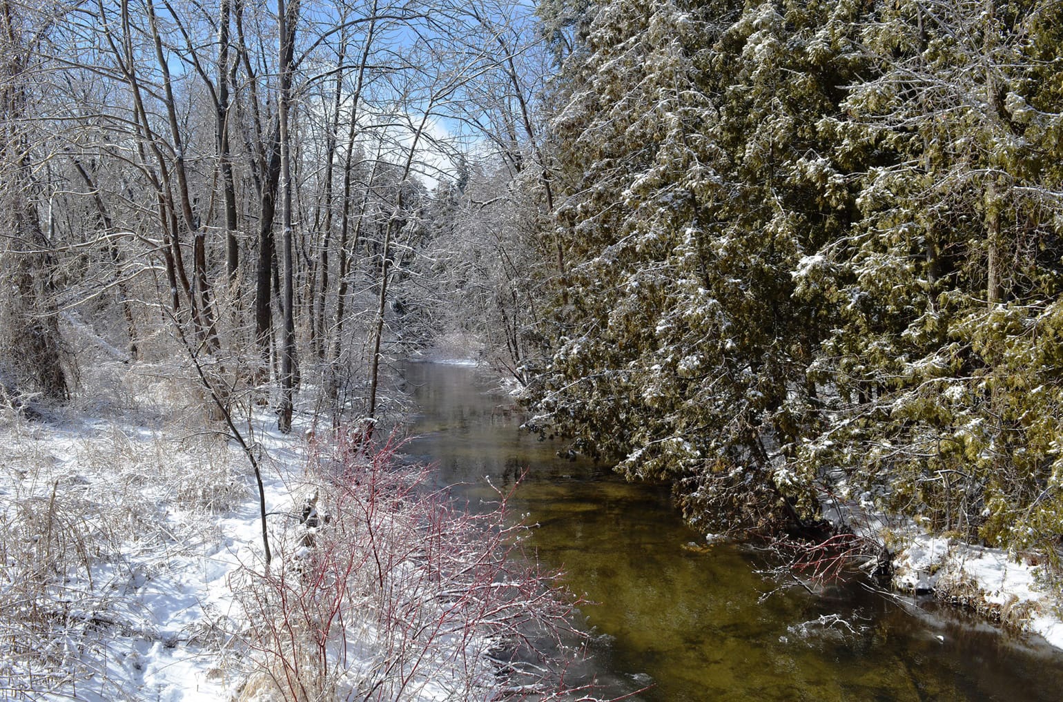 Erin council votes to proceed with wastewater system