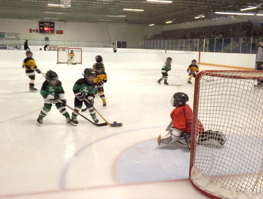 Arthur Minor Hockey Day was held on Jan. 4