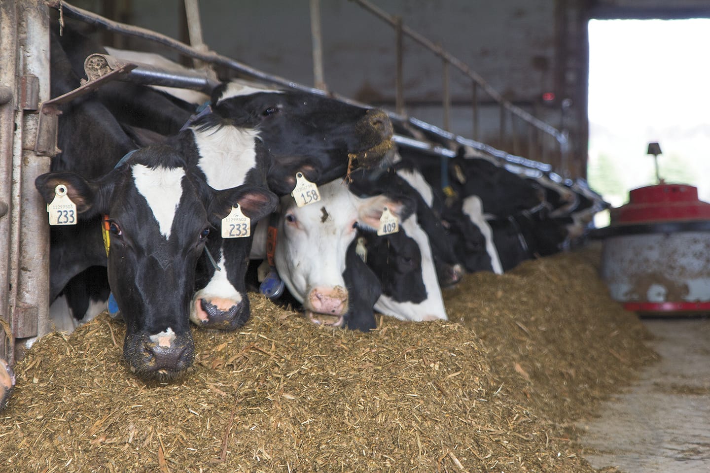 Supply chain issues plaguing local farmers through COVID-19 pandemic