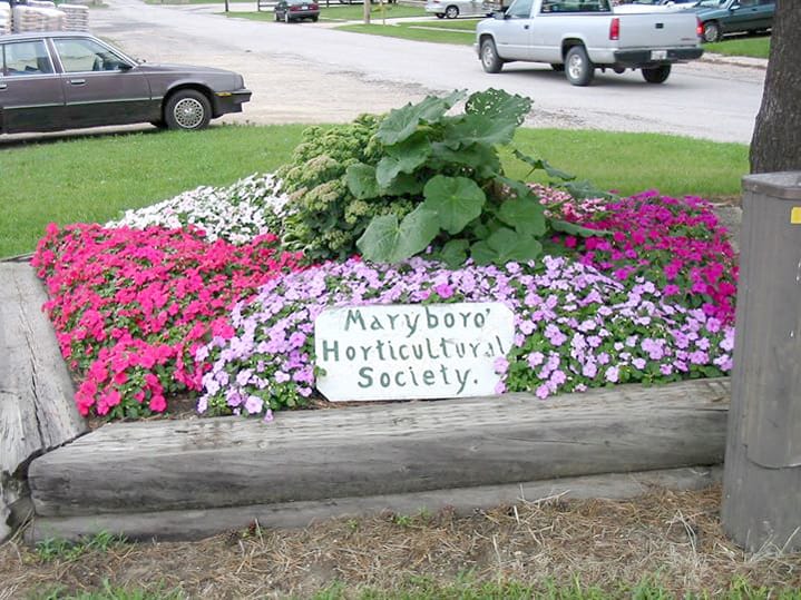 Mapleton Buds and Blooms to hold annual plant sale June 6