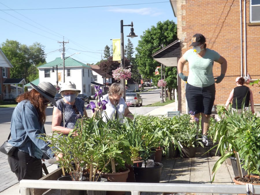 Mapleton Buds and Blooms held its annual plant sale on June 6
