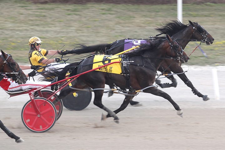 Battle fields set for Industry Day at Grand River Raceway
