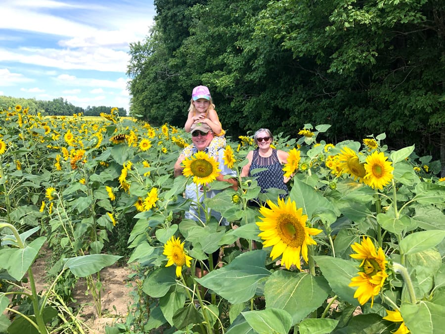 Sunflower Tour raises over $10,000 for Canadian Cancer Society