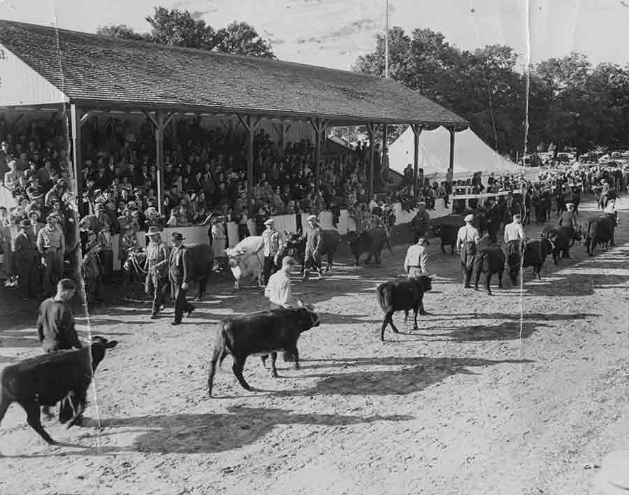 Fall fairs were big events in the north - especially in 1952