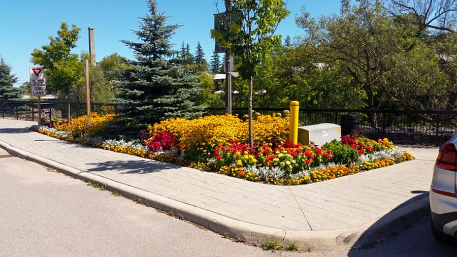 Leave your leaves for us says Fergus Horticultural Society