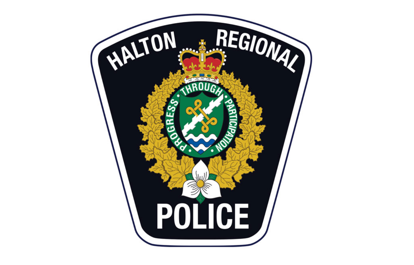 Rockwood man faces theft, weapon, drug charges