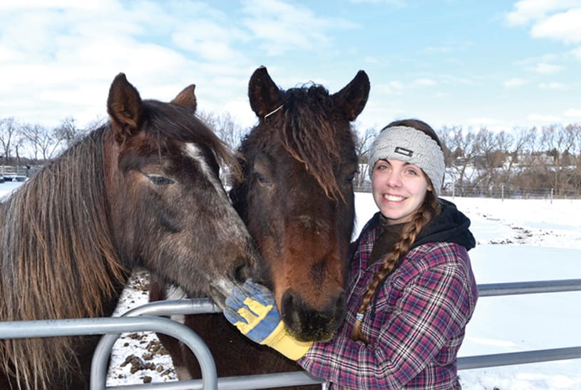 COVID-19 adaption is like ‘flying lead change’ for equine industry