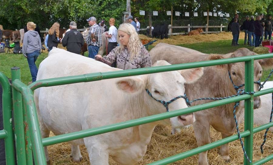Fergus Fall Fair announces first-ever virtual competitions, new prizes 