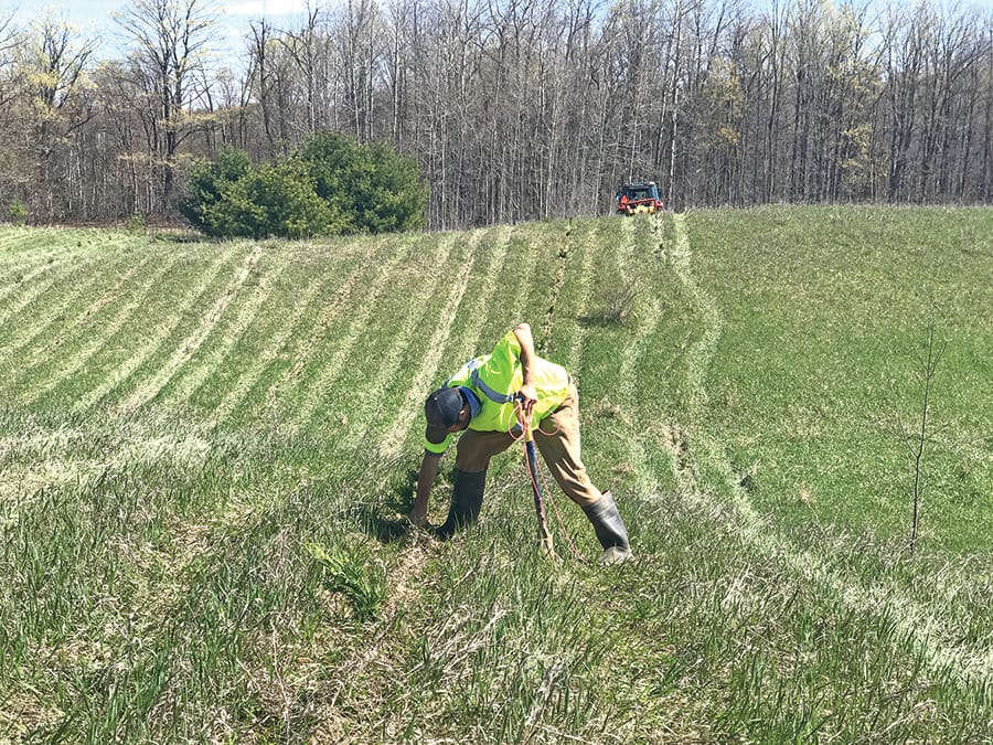 Over 80,000 trees to be planted across Wellington County this spring season through Ontario’s Million Tree Program