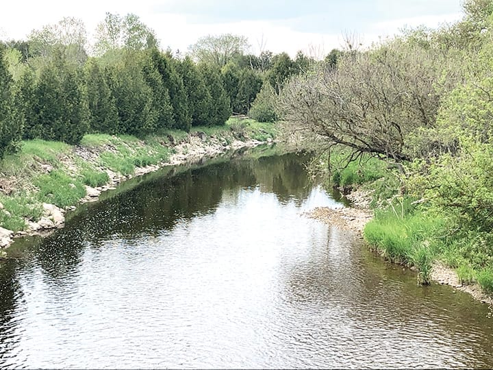 Sunny spring scene on the South Saugeen River