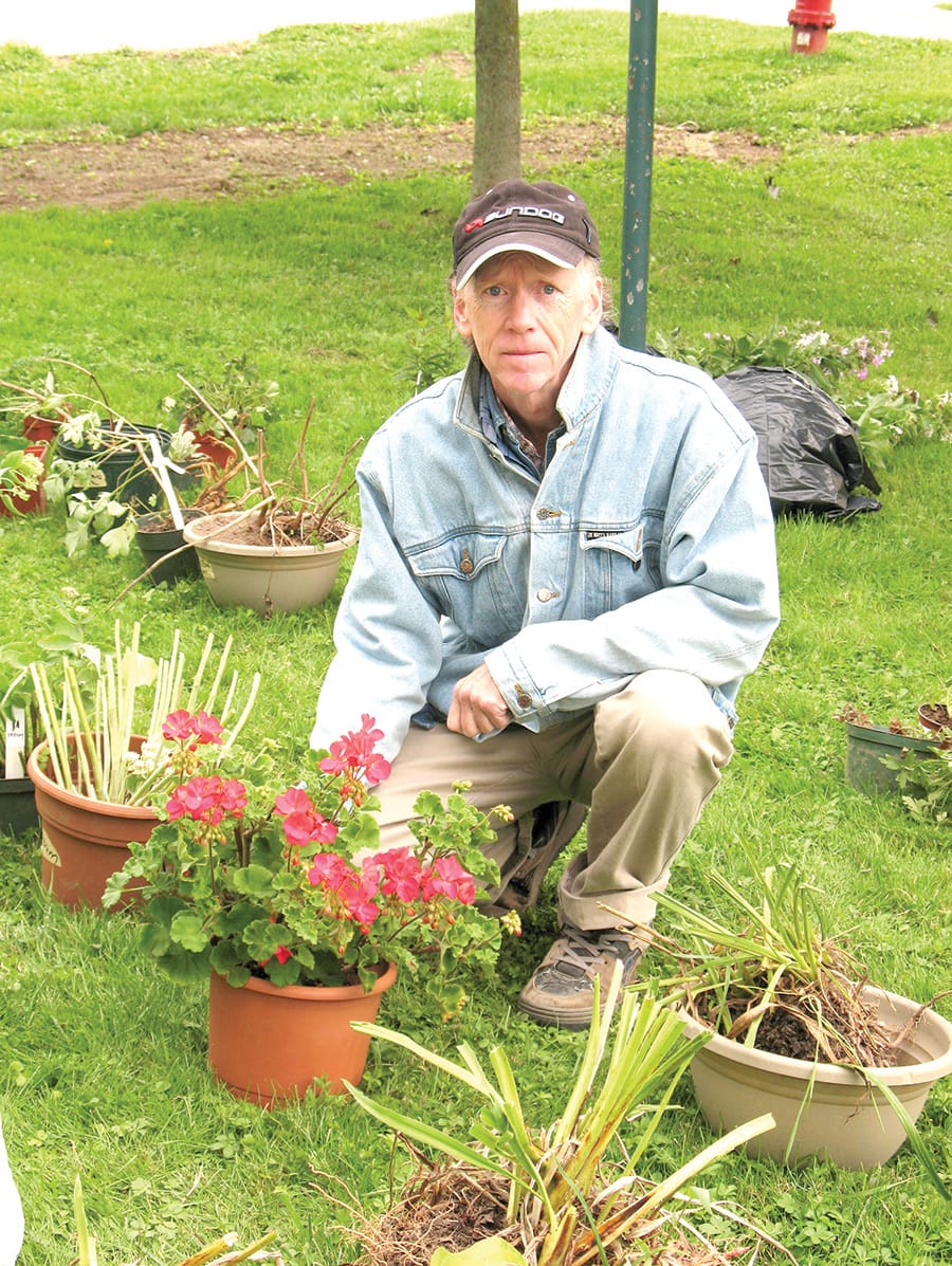 Plant sale planned in Clifford