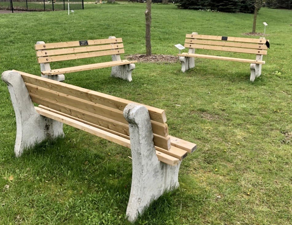 Minto approves policy for commemorative benches, trees