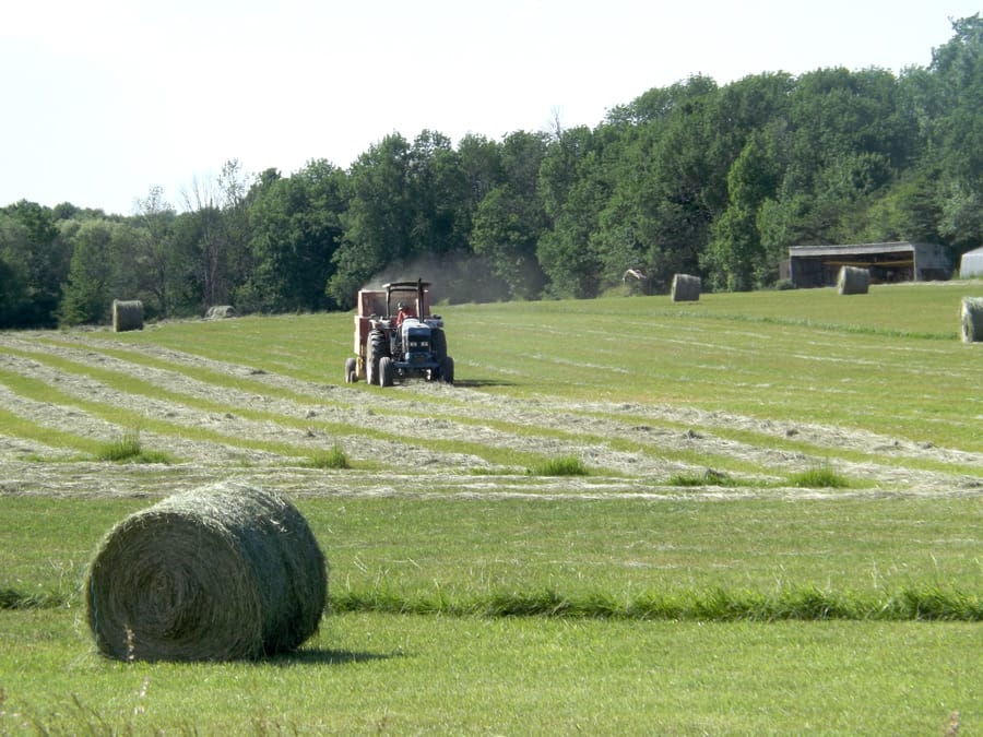 Bailing underway near Harriston