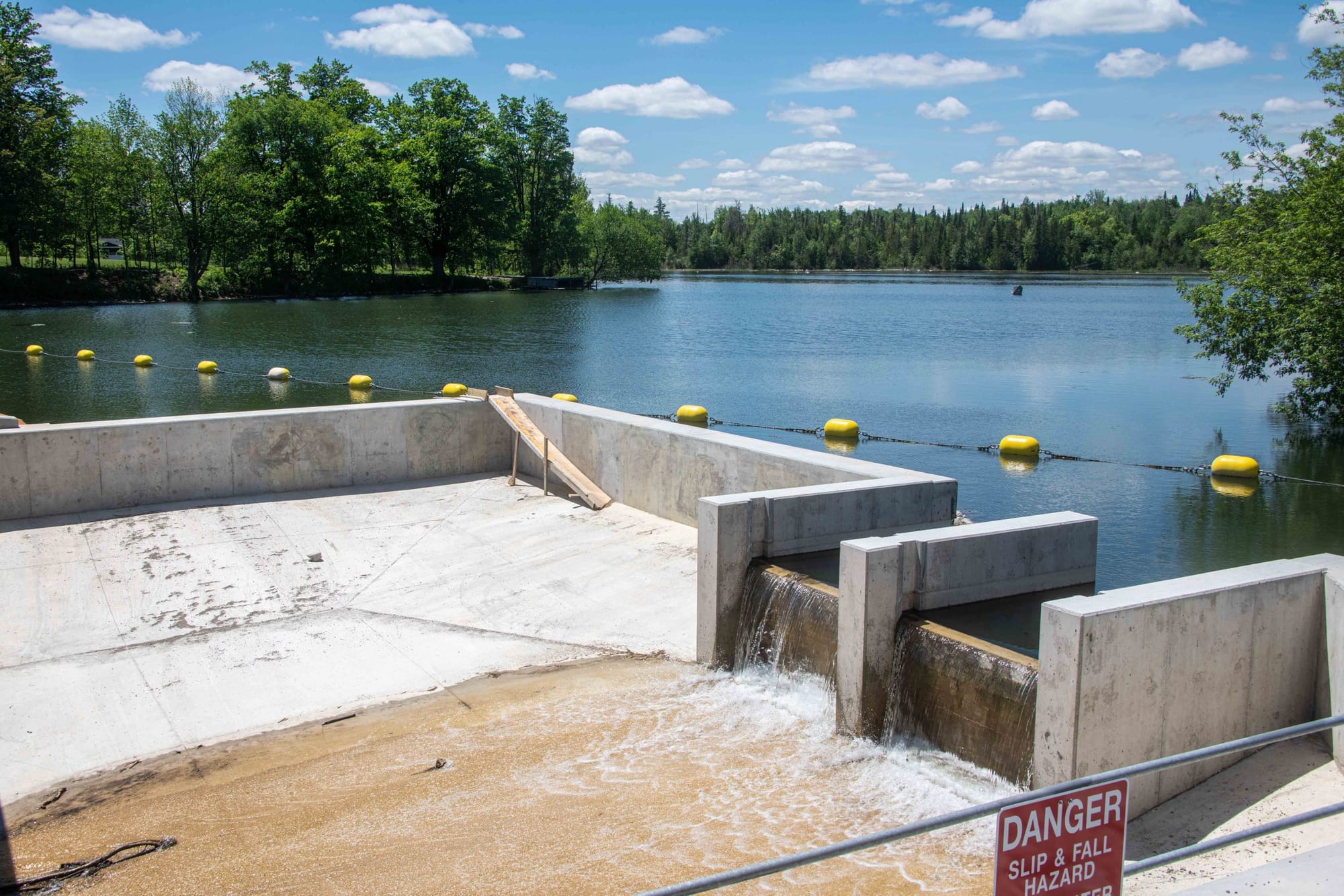 Residents concerned about turtles navigating new Hillsburgh bridge/dam