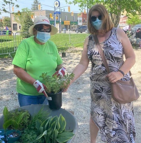Plant sale held in Clifford