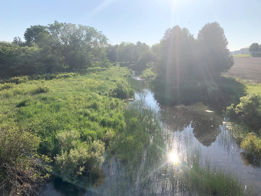 Sunlit stream creates dazzling early morning effect