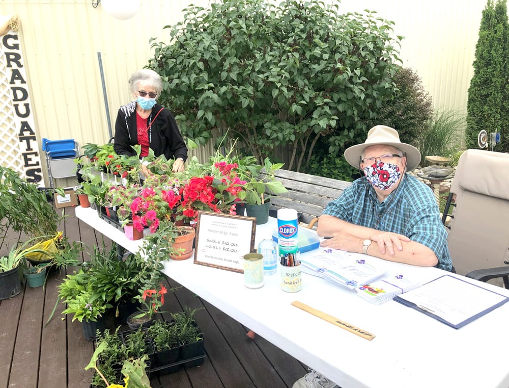 Party time downtown across Minto on July 3