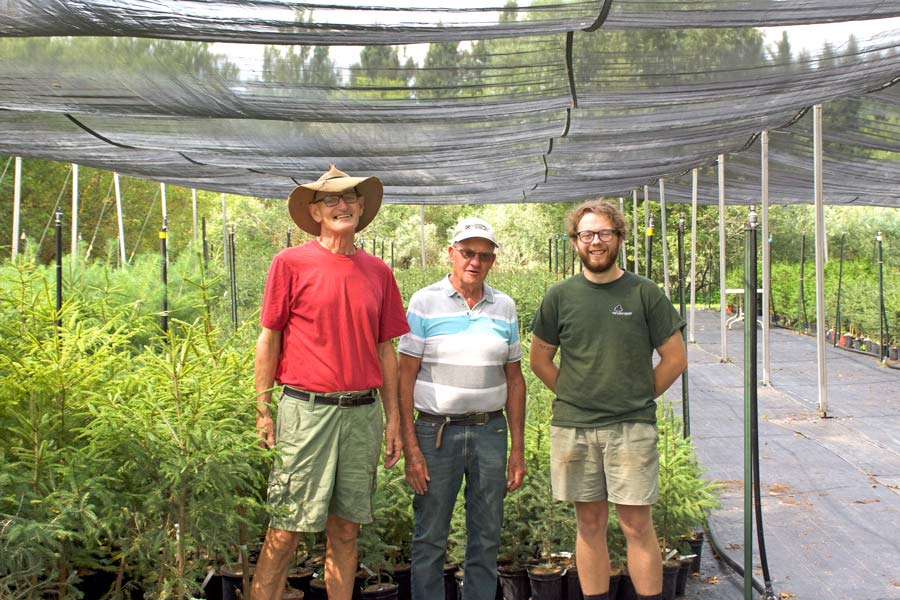 County’s Green Legacy Program continues to thrive despite pandemic challenges