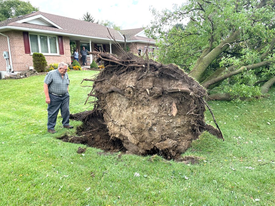 EF1 tornado confirmed between Harriston, Kenilworth