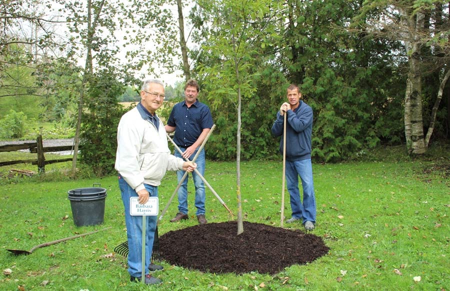 Memorial planting recognizes Barbara Harris on National Tree Day