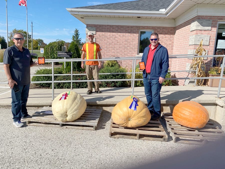 Minto fertile ground for pumpkins