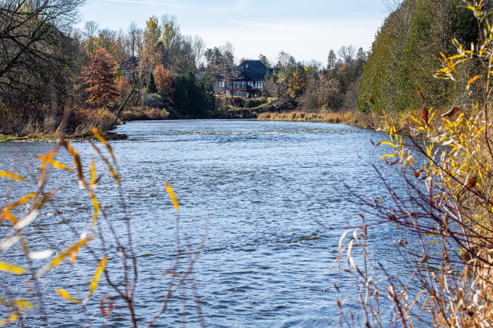 Pierpoint neighbourhood group opposes potential bridge over Grand River