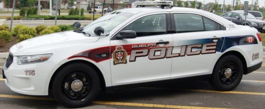 Fergus man dies after being hit by bus