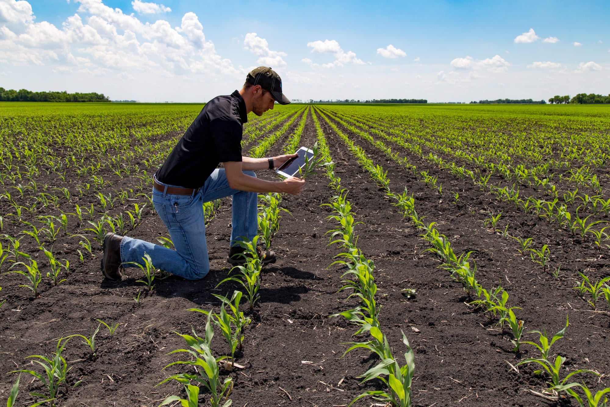 Local workshops target cybersecurity on farms as agriculture goes increasingly digital